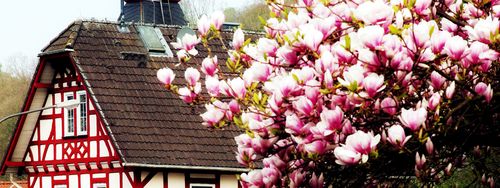 Schulhaus in Wallbach