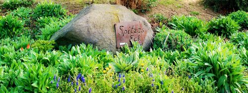 Spitzes Eck in Kainsbach